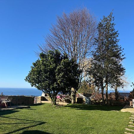 Apartamento Golindo Goikoa Getaria Exterior foto